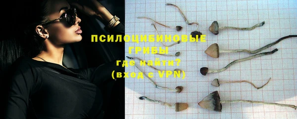 круглые Белокуриха