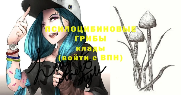 круглые Белокуриха