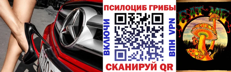 Псилоцибиновые грибы ЛСД  сколько стоит  Славгород 