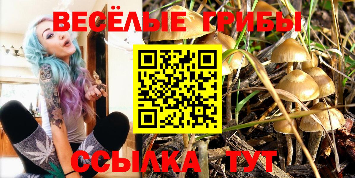Славгород  Псилоцибиновые грибы MAGIC MUSHROOMS  Вход с VPN 